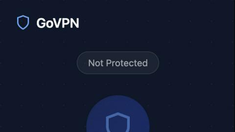 GoVPN application interface and features