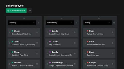 Mesostrength application interface and features