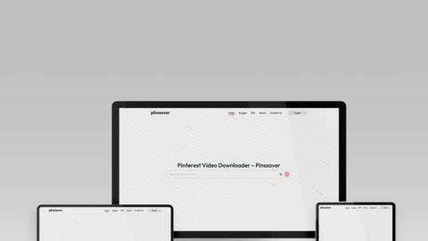 Pinssaver application interface and features