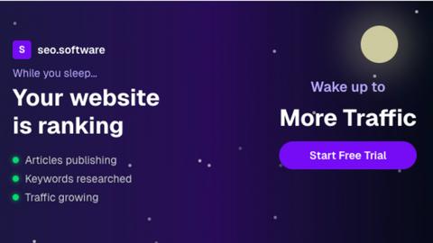 SEO Software application interface and features