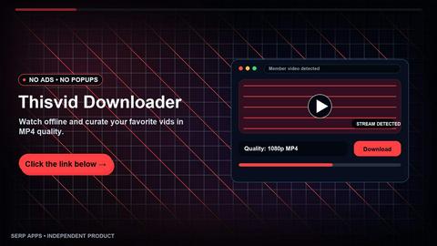 ThisVid Video Downloader application interface and features