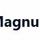Magnum SEO Tools