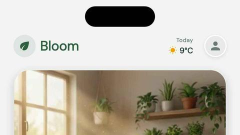 Bloom Plant ID application interface and features