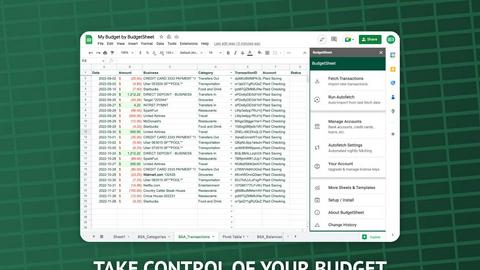 BudgetSheet application interface and features